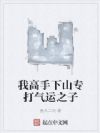 我高手下山专打气运之子